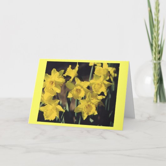 Carte Jonquilles (Devant)