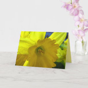 Carte Jonquilles Narcisse Fleurs de printemps jaunes joy