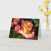 Carte Joseph's Coat Rose Scripture Card Isaïe 26:3 (Fleur jaune)