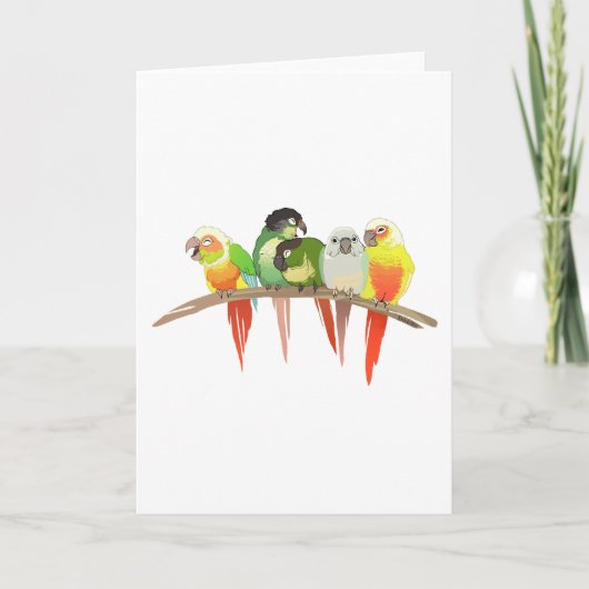 Carte Joue verte Conures (Devant)