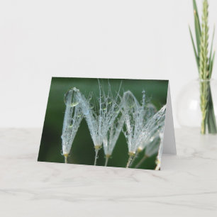 Carte Jouer Dandelion avec Dew Poetry of Nature
