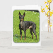 Carte Jouet anglais Terrier 9R78D-77 (Fleur jaune)