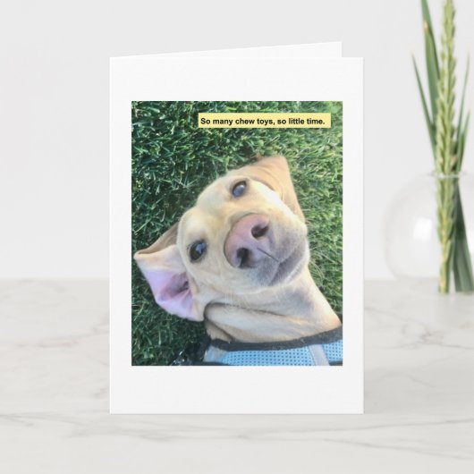 Carte Jouets Chew MillieGram (Devant)