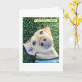 Carte Jouets Chew MillieGram (Fleur jaune)