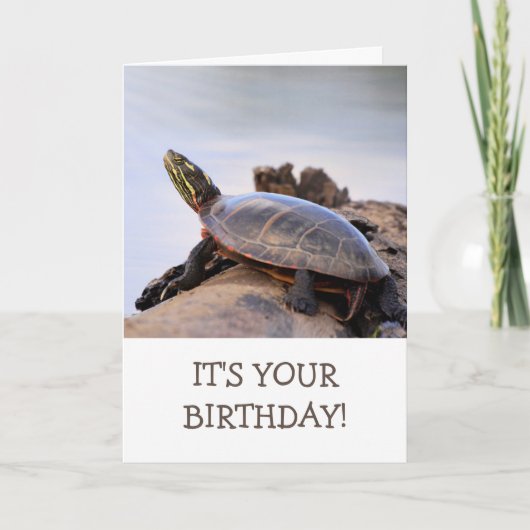 Carte Jour d'anniversaire de la tortue peinte (Devant)