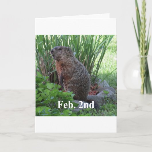 Carte Jour de Groundhog (Devant)