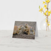 Carte Jour de Groundhog (Fleur jaune)