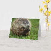 Carte Jour de la marmotte Woody (Fleur jaune)