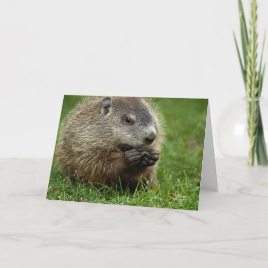 Carte Jour de la marmotte Woody (Devant)