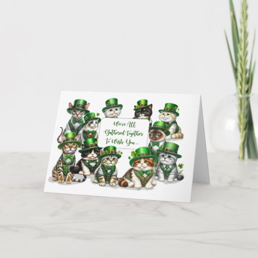 Carte Jour de la Saint Patrick Du Groupe Funny Cats (Devant)