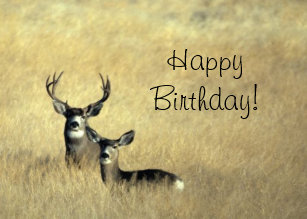 Cadeaux Chasse Joyeux Anniversaire Zazzle Be