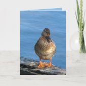 Carte Jour de l'image (Devant)