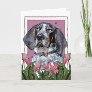 Carte Jour de mères - tulipes roses - Coonhound de
