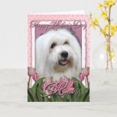 Carte Jour de mères - tulipes roses - coton de Tulear (Fleur jaune)