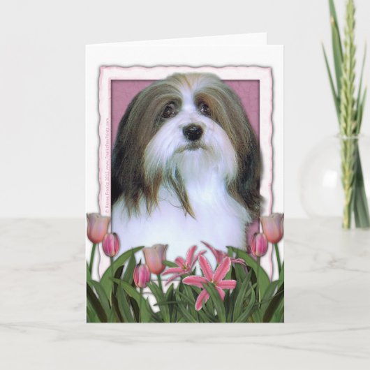 Carte Jour de mères - tulipes roses - Havanese (Devant)