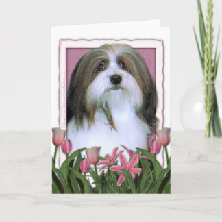 Carte Jour de mères - tulipes roses - Havanese