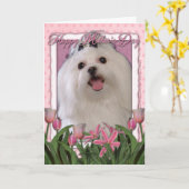 Carte Jour de mères - tulipes roses - maltais (Fleur jaune)