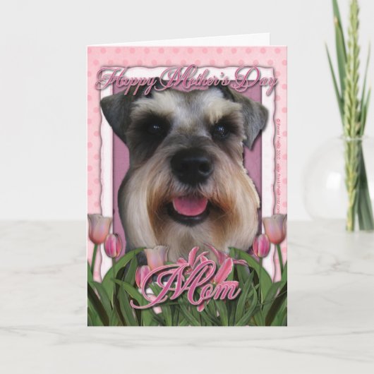 Carte Jour de mères - tulipes roses - Schnauzer (Devant)