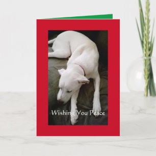 Carte Jour de Noël du chien blanc dormant paisible