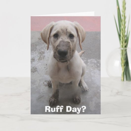 Carte Jour de Ruff ? (Devant)