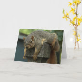 Carte Jour des écureuils après-midi (Fleur jaune)