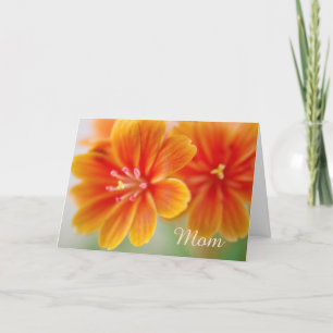 Carte Jour des mères florales de Lewisia Orange