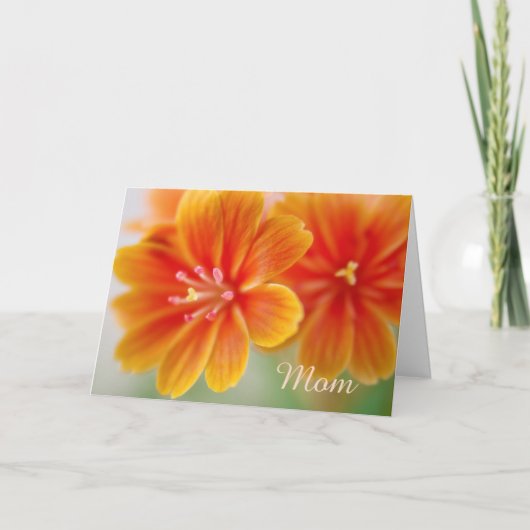 Carte Jour des mères florales de Lewisia Orange (Devant)
