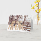 Carte Jour d'hiver (Fleur jaune)