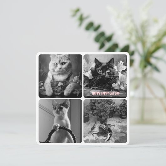 Carte jour du chat noir blanc (Debout devant)