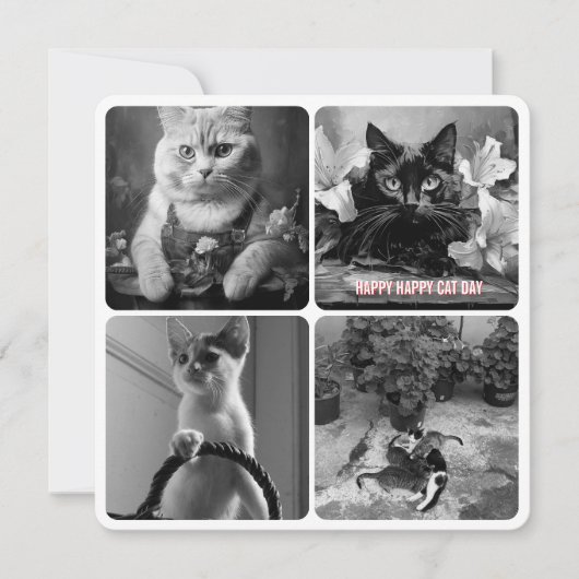 Carte jour du chat noir blanc (Devant)