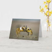 Carte Jour du crabe (Fleur jaune)