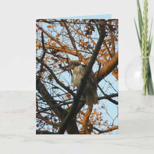 Carte Jour du faucon (Devant)