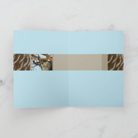 Carte Jour du faucon (Intérieur)