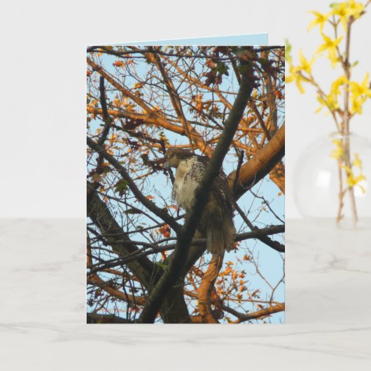 Carte Jour du faucon (Fleur jaune)