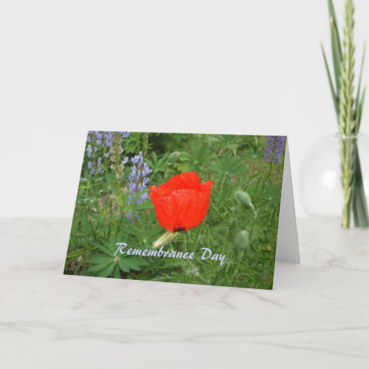 Carte Jour du Souvenir canadien - 11 novembre Coquelicot (Devant)