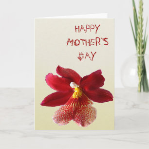 Carte Jour heureux du ` s de mère