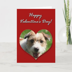 Carte Jour Jack Russell Terrier Valentines