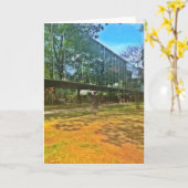 Carte Jour, université, mâle (Fleur jaune)