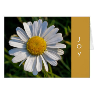 Carte JOY DAISY