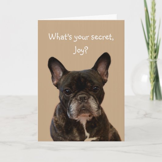 Carte Joy French Bulldog Joyeux anniversaire (Devant)