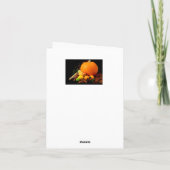 Carte Joyeuse Action de grâce (Dos)