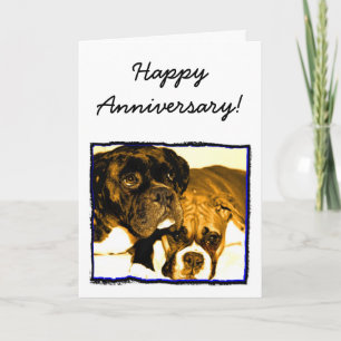 Carte Joyeuse Anniversary Boxer