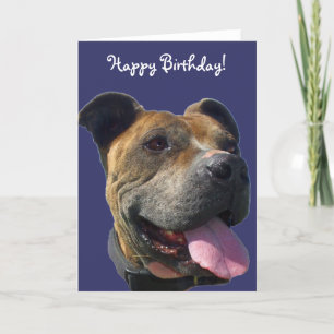 Carte Joyeuse Birthday