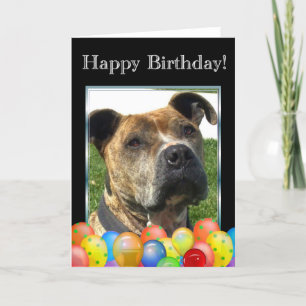 Carte Joyeuse Birthday