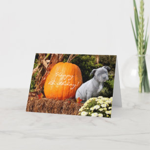 Carte Joyeuse Birthday