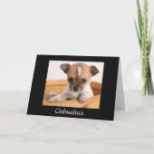 Carte Joyeuse Birthday Chihuahua (Dos)