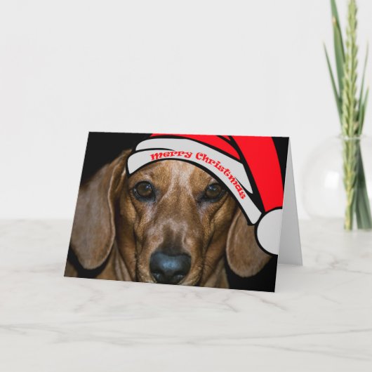 Carte Joyeuse de Noël de Dachsund (Devant)