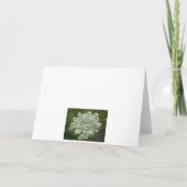 Carte Joyeuse dentelle d'anniversaire (Dos)