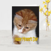Carte Joyeuse Fête des Mamans ! Petit chat (Fleur jaune)