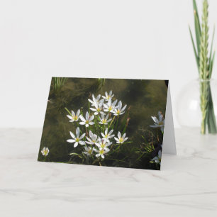 Carte Joyeuse Fête des Mères !